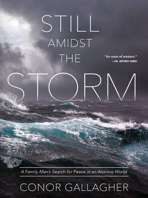 cover image of Still Amidst the Storm